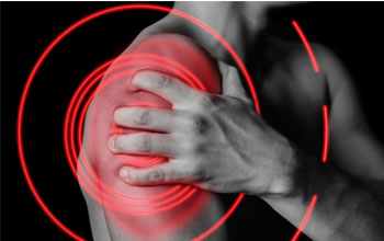 physio.lk